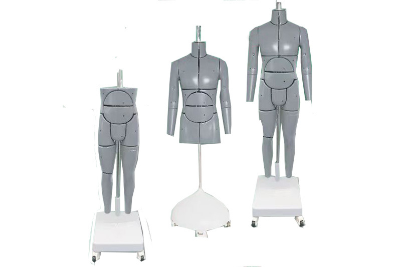 Intelligent deformation robot model (male/female)